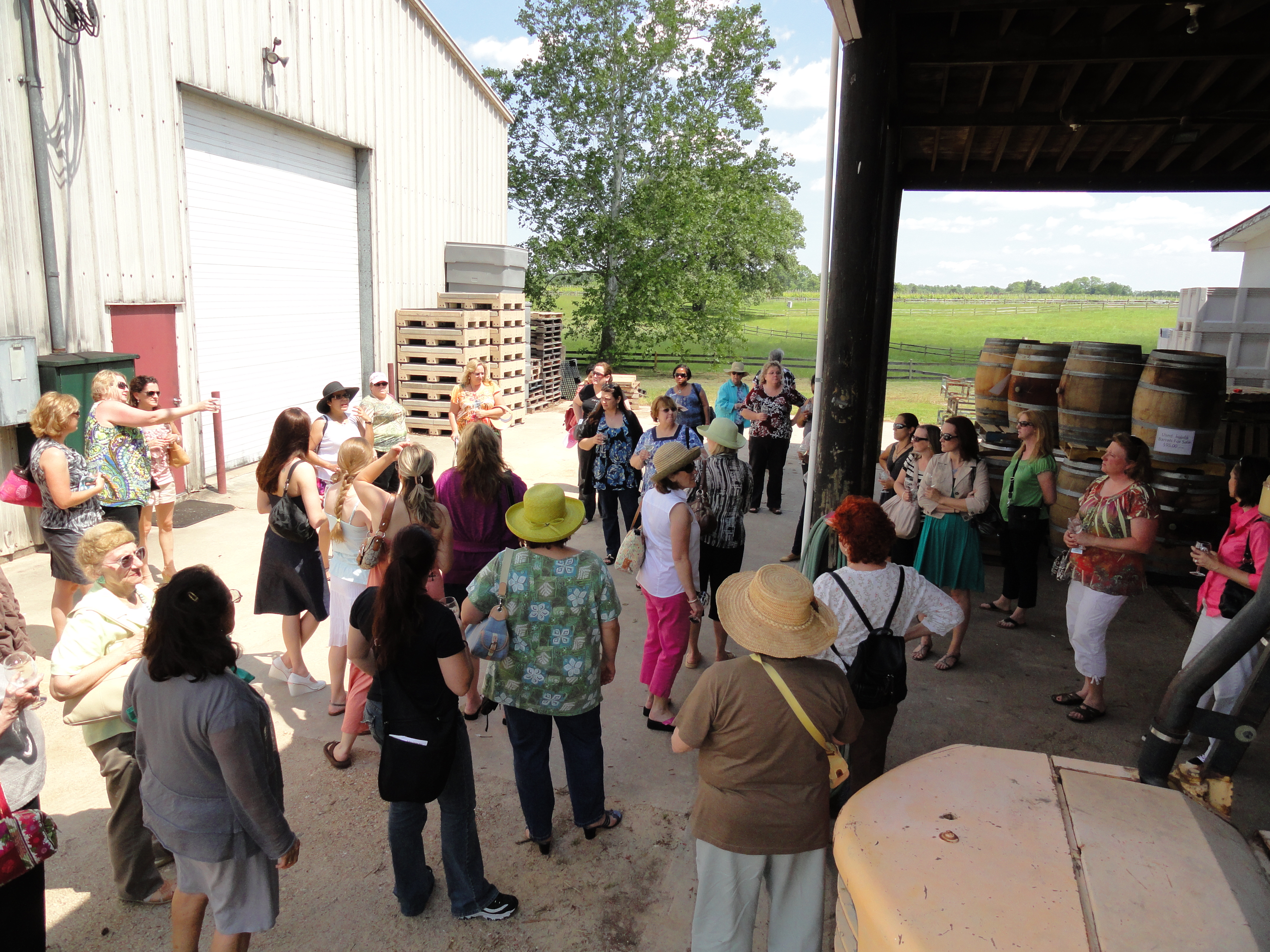 Travel To Virginia Wineries On The Chesapeake Bay Wine Trail