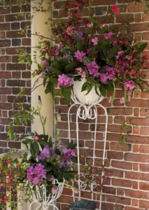 Spring flowers at Ditchley Cider Works